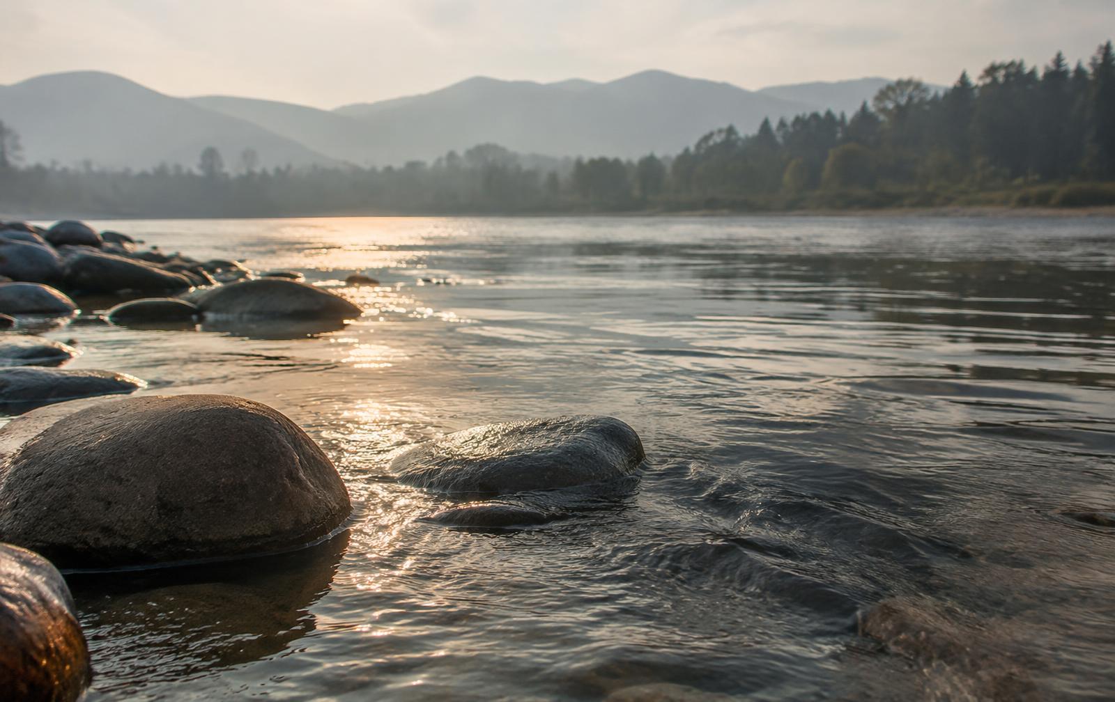 Slow-moving river water with light on its surface